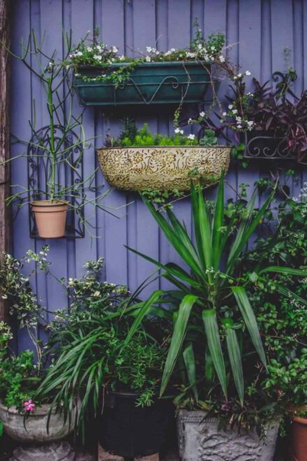 How to build raised garden beds