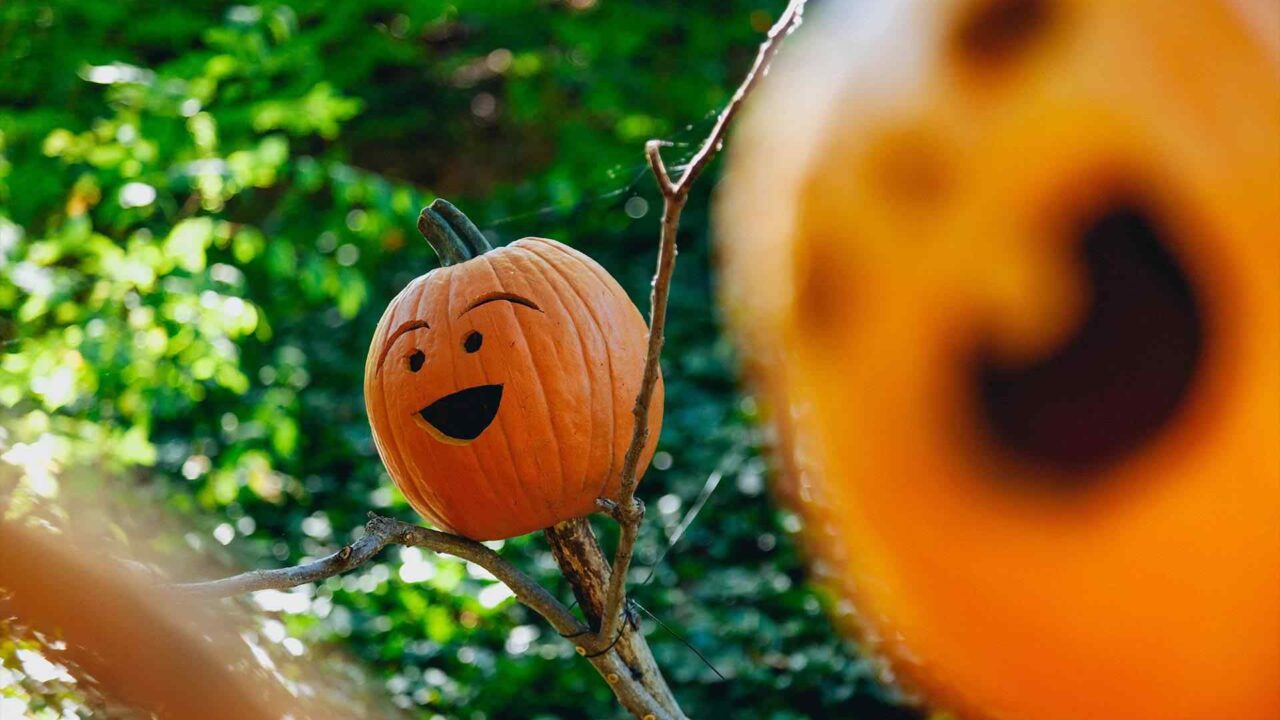 How to create Halloween decor