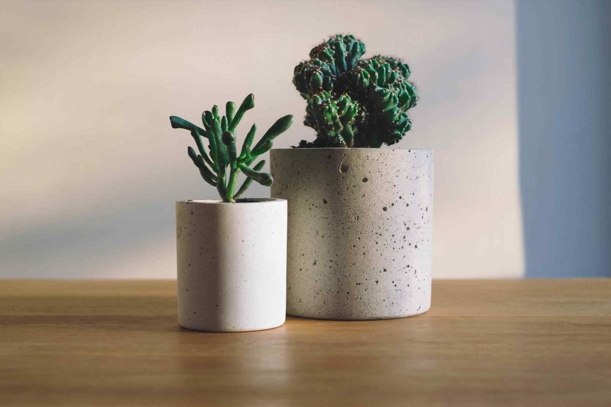 How to make concrete planters How to make concrete planters