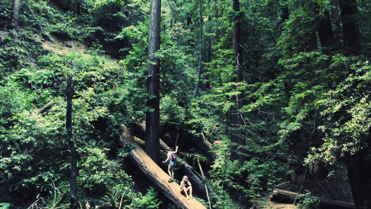 Thailand’s Top Green Resorts Are The Most Wanted