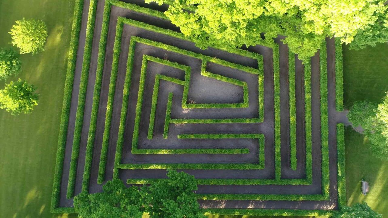 How to trim a perfect grass